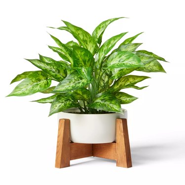 faux philodendron birkin plant with wood stand