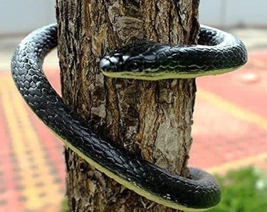 Realistic Rubber Snake
