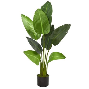 artificial plant