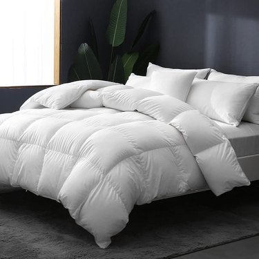 Apsmile All Seasons Feather Down Comforter