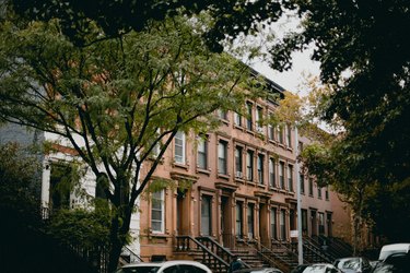 new york city brownstone with trees