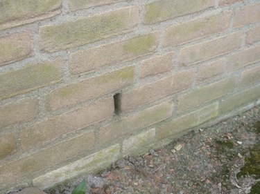 weep hole at bottom of brick wall
