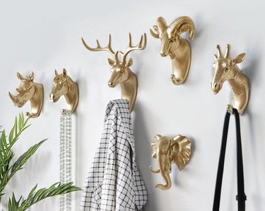 Animal hooks on a white wall