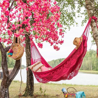 pink hammock and pink flowers