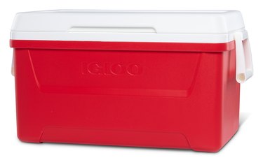 Igloo 48-Quart Laguna Ice Chest Cooler