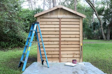 Cedar shed with tarp and ladder and paint supplies