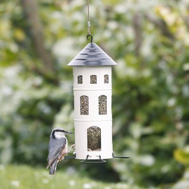 silo style bird feeder