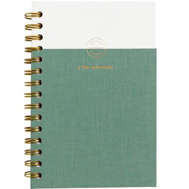 two-toned spiral wellness diary