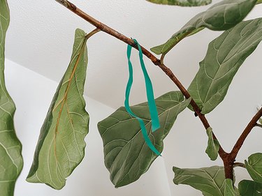 Loop the cut floral tape over the branch and tie a knot in the end.