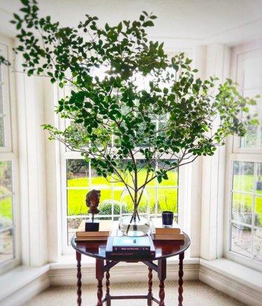 Tree branches in vase on desk by windows