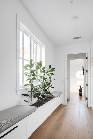 white coastal hallway with plant