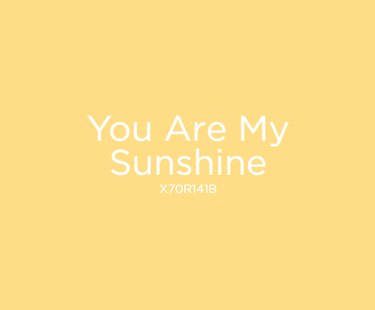 Valspar You Are My Sunshine paint