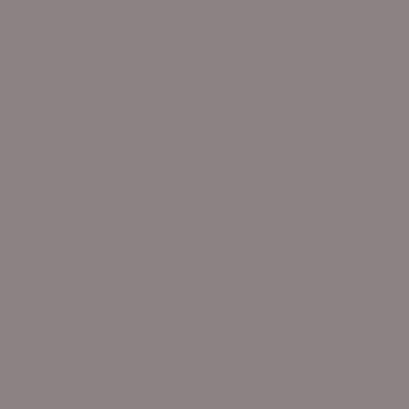 Pittsburgh Paints & Stains Pewter Mug paint swatch