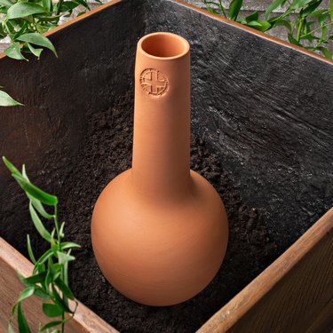 DIY Terra-Cotta Olla Self-Watering System for Gardening