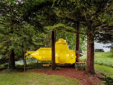 airbnb yellow submarine in new zealand