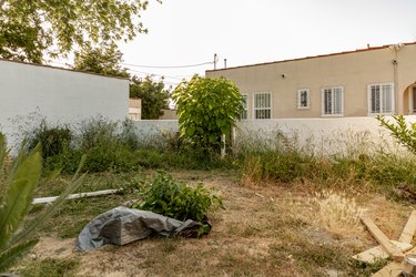 abandoned backyard