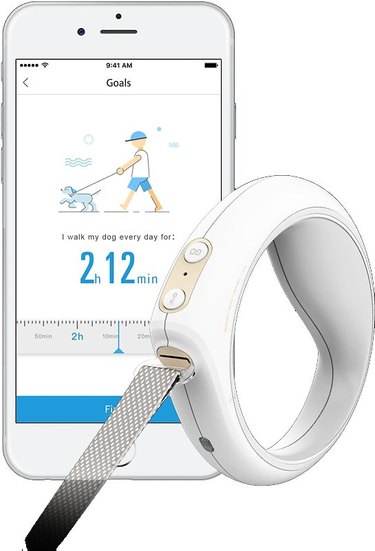 image of  white smart pet leash with white smartphone