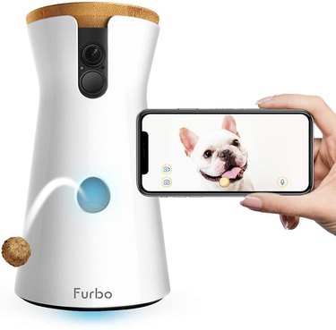 Furbo dog camera shown dispensing a treat, smartphone with dog photo.