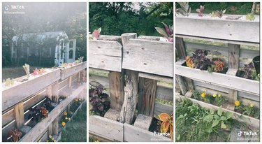 a wood pallet fence with garden boxes filled with plants