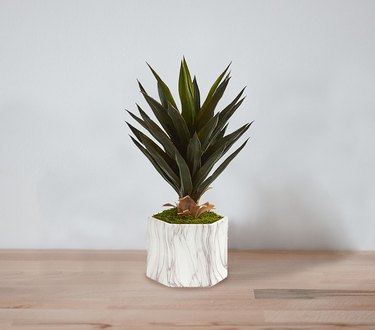 fake agave plant