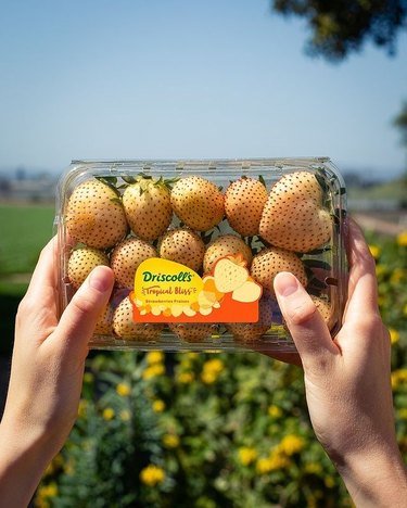 Hands holding a package of yellow Tropical Bliss strawberries by Driscoll's
