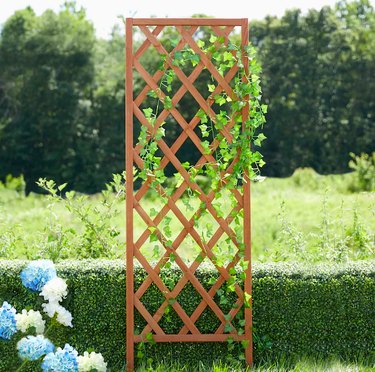 garden trellis