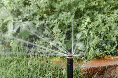 close-up of sprinkler system sprinkler head watering lawn