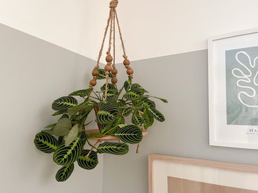 Hanging plant on rope and wood charger