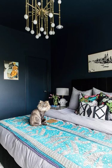 A small navy blue bedroom with decadent touches and a cat on the bed