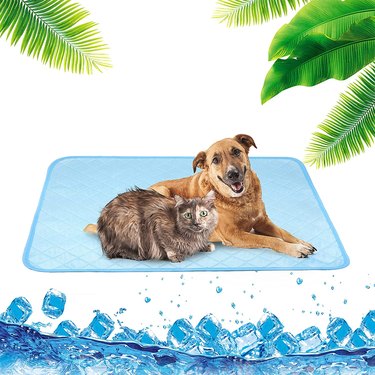 Cooling pet mat