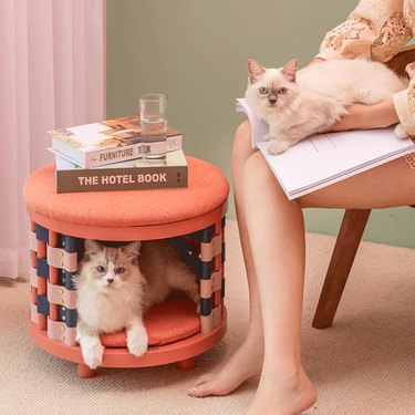 Happy & Polly 2-in-1 Round Stool Cat Bed