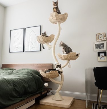 The Mau Store 73-Inch Wood Cat Tree Tower