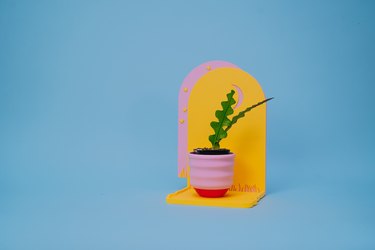 Pink planter on a yellow stand with a blue background