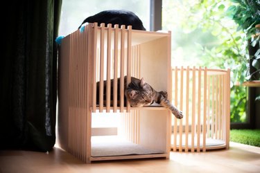 Wooden cat bed with a cat sleeping in it against a sliding glass door