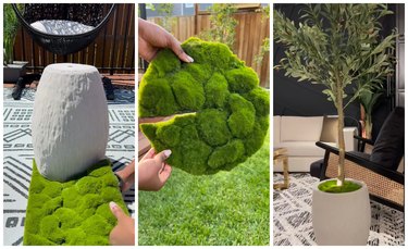 The first image is an upside-down planter being measured on a piece of moss. The second image is a circle of moss with a sliver cut down the side. The third image is an olive tree being lit up in a living room.