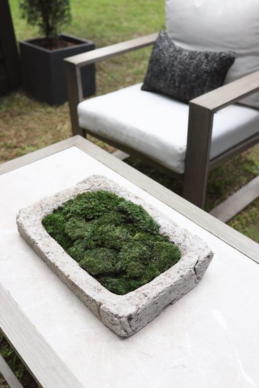 DIY moss trough