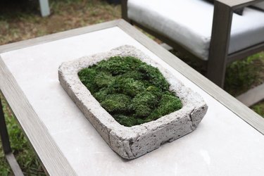 DIY LIVE MOSS CENTERPIECE  Restoration Hardware Dupe 