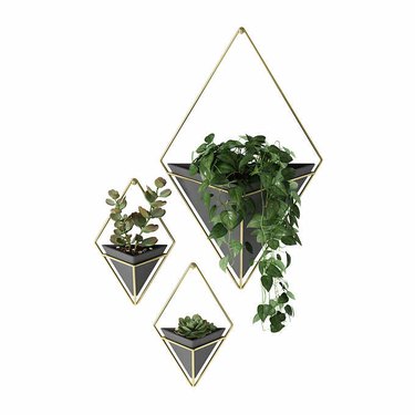 A trio of wall hangers for plants.