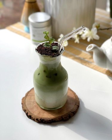 potted plant matcha on table
