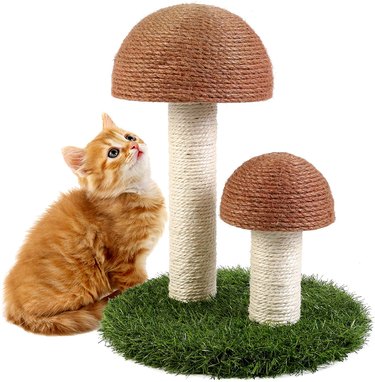 Odoland Mushroom Cat Scratching Post