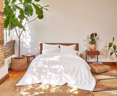 A bedroom filled with a white bed and plants