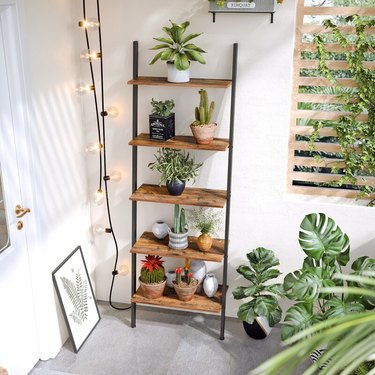 wood ladder shelving unit with plants