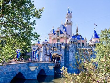 Disneyland Magic Key Program