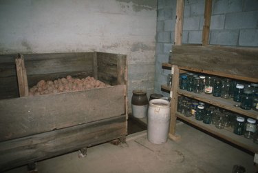 underground cellar with potatoes