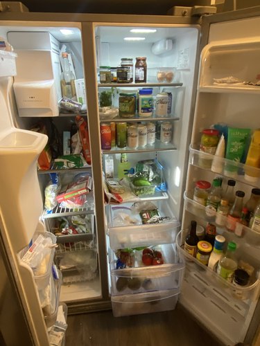 My fridge and freezer before organizing