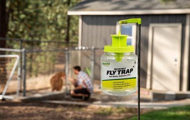 A RESCUE! outdoor fly trap in a backyard
