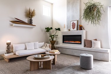 Minimalist modern living room with plants and a neutral-gray theme