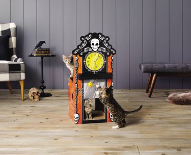 A cat scratching a large cat scratcher that looks like a Halloween clock. There is also a kitten peeking out of the front and another kitten looking out of a top window. The clock is orange and black with white skulls on it. The face of the clock is yellow and there is a pom-pom dangling underneath it.