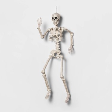 A hanging skeleton that can be moved to show off different poses. The skeleton is shown against a white background.