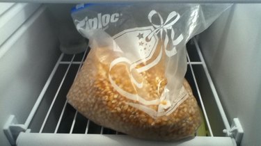 A Ziploc bag of popcorn kernels on a shelf in a freezer